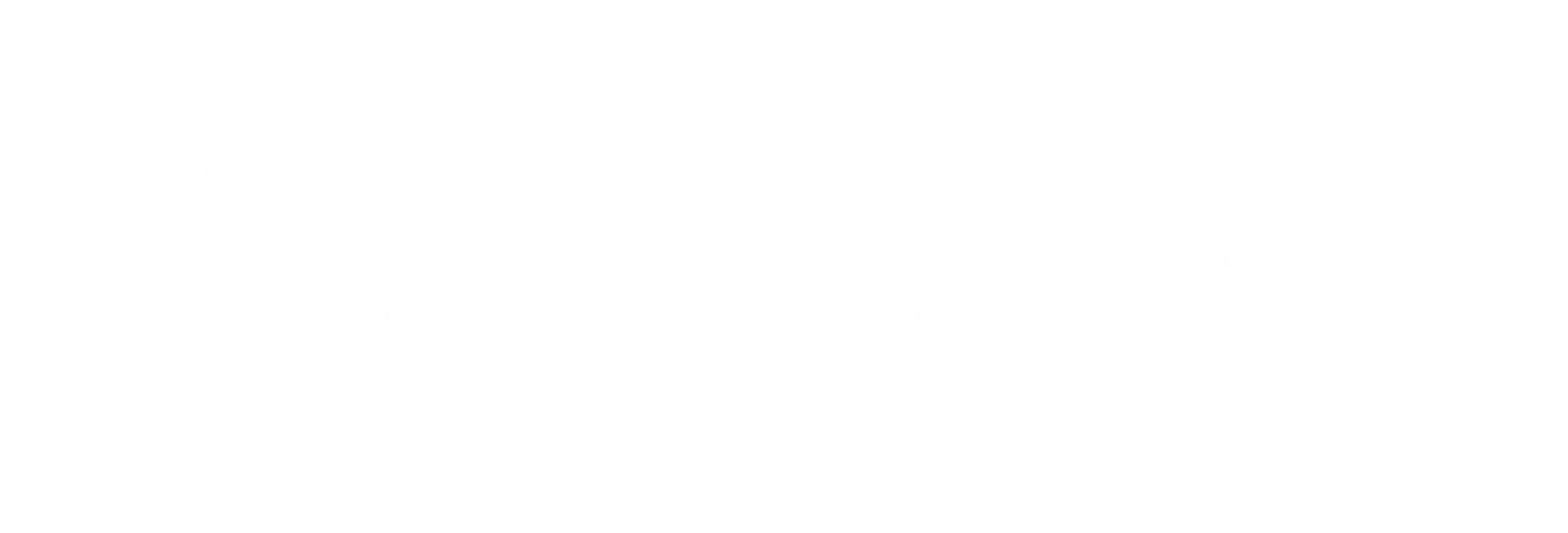 WordPress-logotype-standard-white.webp